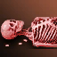 Grandis's Skull